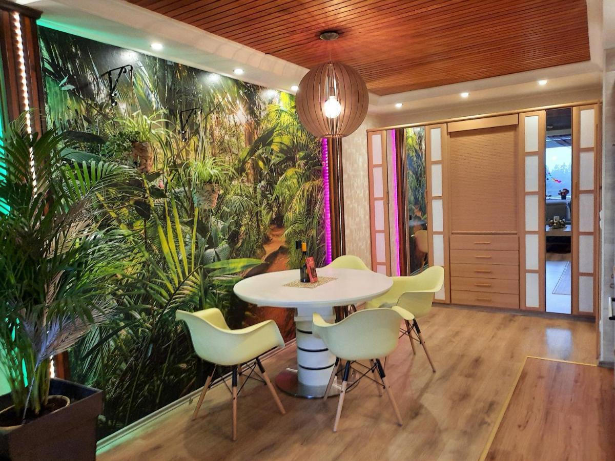 Funny Jungle Ferienwohnung Im Hahnenklee Goslar Eksteriør billede