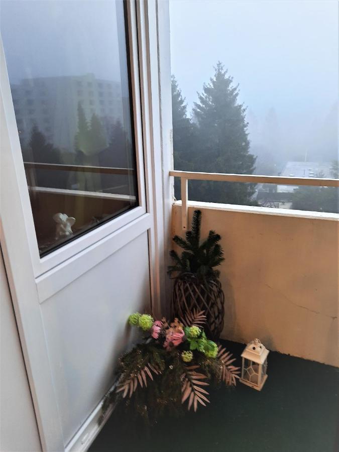 Funny Jungle Ferienwohnung Im Hahnenklee Goslar Eksteriør billede