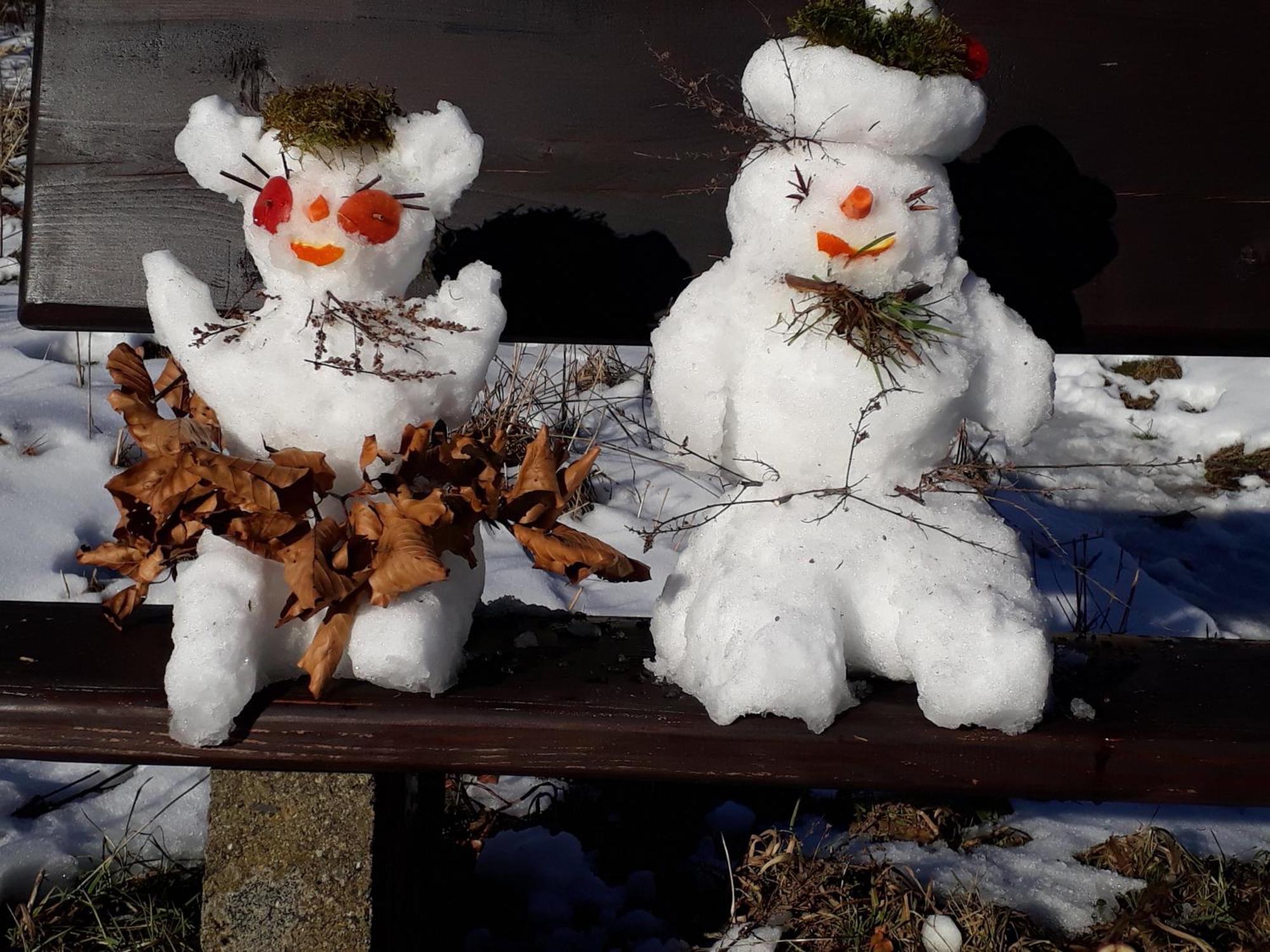 Funny Jungle Ferienwohnung Im Hahnenklee Goslar Eksteriør billede