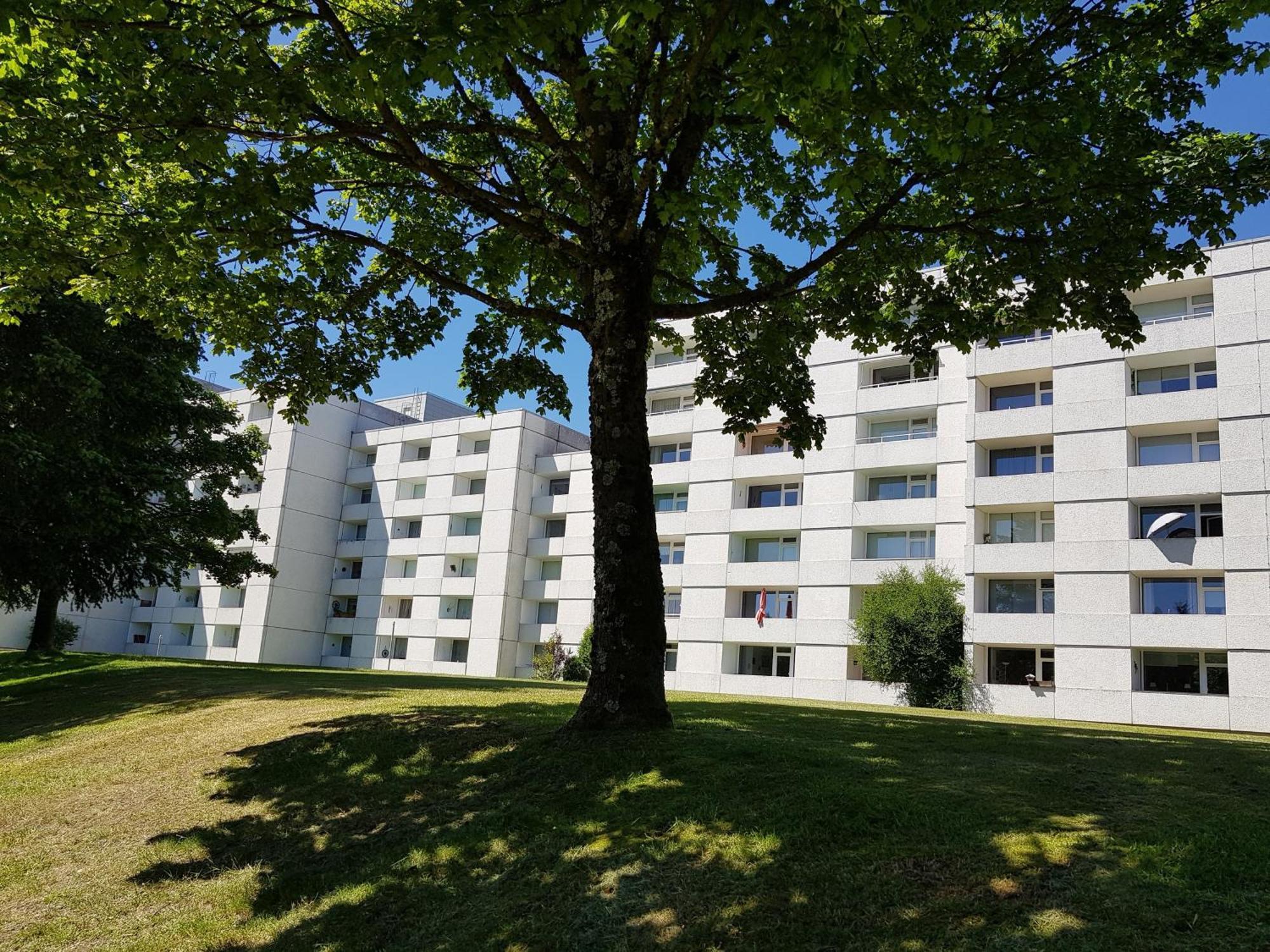 Funny Jungle Ferienwohnung Im Hahnenklee Goslar Eksteriør billede